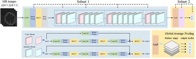 A deep learning approach with subregion partition in MRI image analysis for metastatic brain tumor